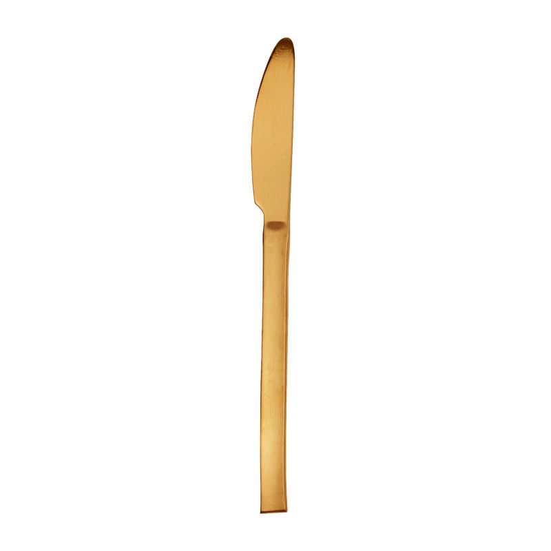SPIGA TABLE KNIFE GOLD 22CM