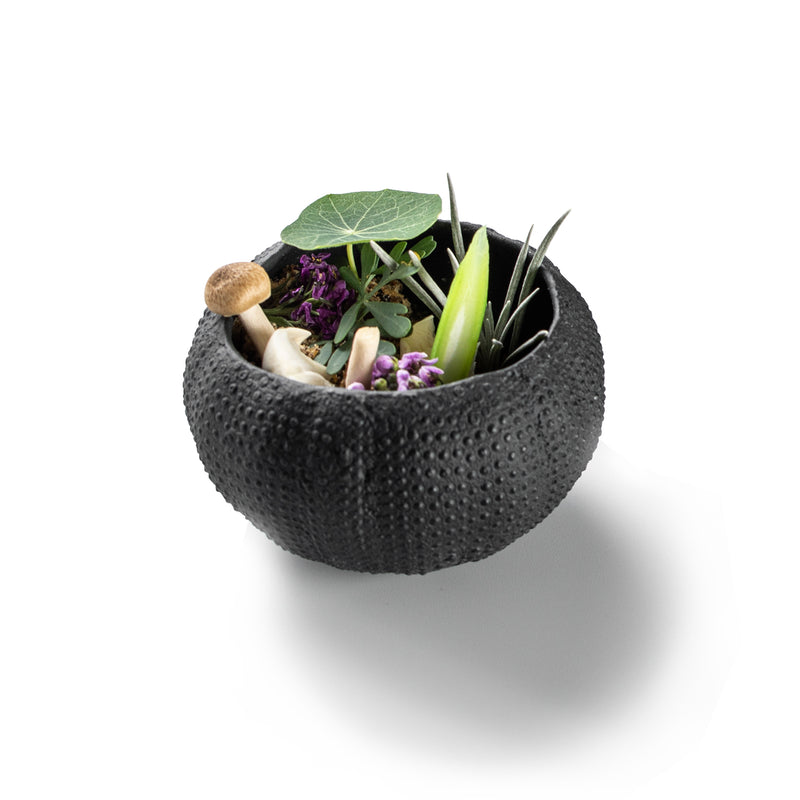SEA URCHIN MAT 8CM BLACK