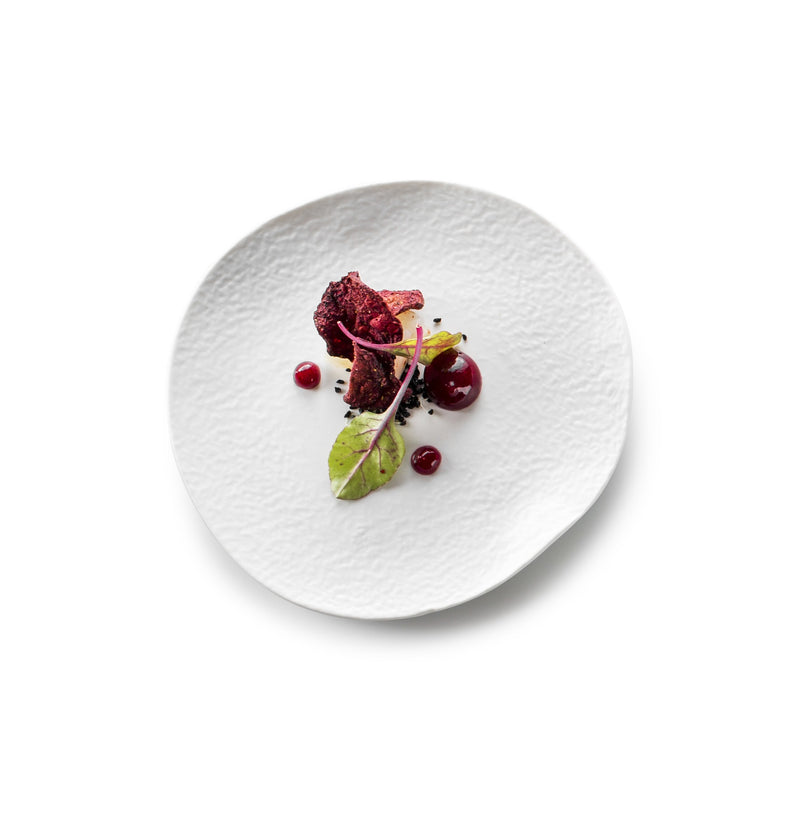 Luxury matte porcelain appetizer plate with artistic Arctic-inspired design; ideal for elegant, minimalist food presentations.