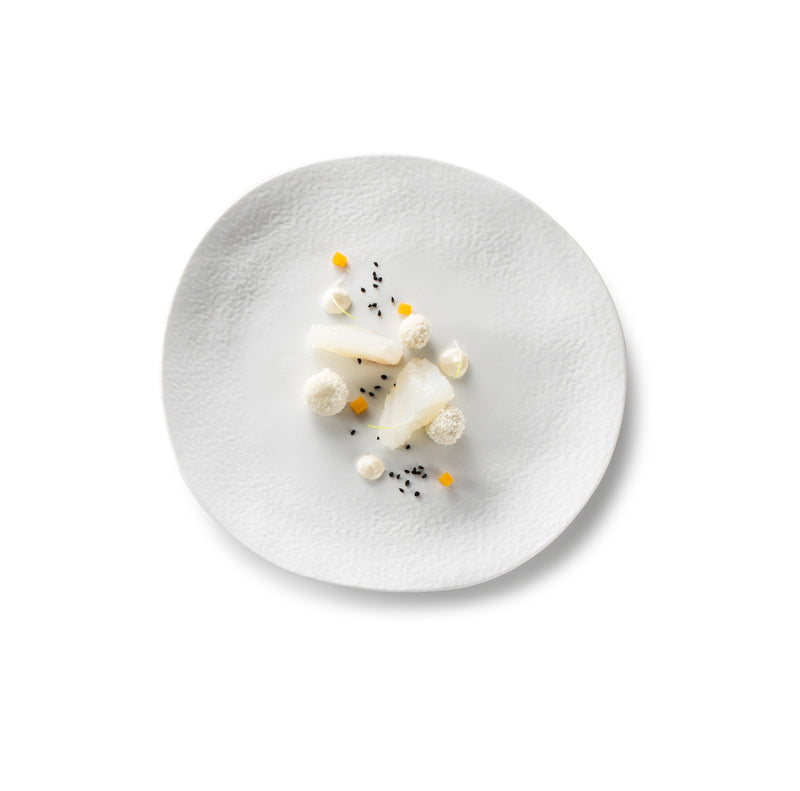 Artic matte porcelain plate with minimalist, artistic design; luxury tableware ideal for elegant starters or plated desserts.