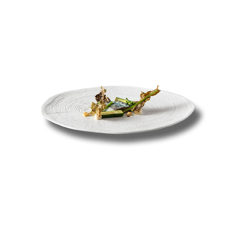 Luxury matte porcelain plate with tree-ring design; artistic, durable, microwave, oven, freezer, and dishwasher safe tableware.