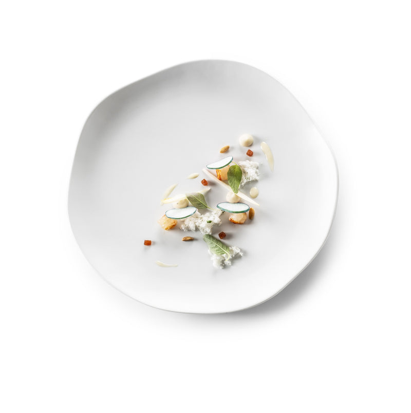 Gastro Plate Mat 24cm luxury porcelain plate with matte finish, modern minimalist tableware for elegant food plating.