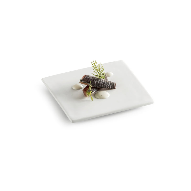 Porcelain square plate with matte finish, microwave and oven safe, modern minimalist tableware perfect for appetizers, desserts, and elegant serving.