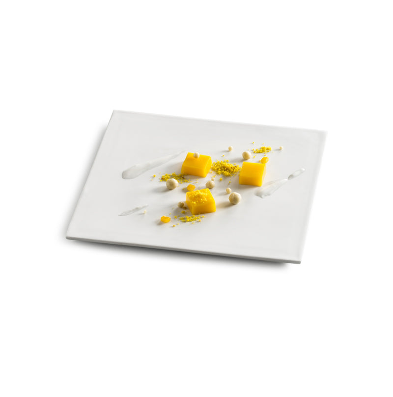 Porcelain square plate with matte finish, microwave, oven and dishwasher safe, modern minimalist tableware ideal for stylish food presentation.