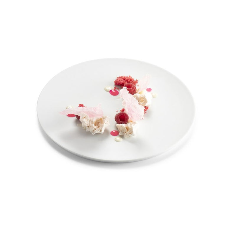 Canvas porcelain plate with matte finish, microwave, oven and dishwasher safe, modern minimalist tableware ideal for elegant food presentation.