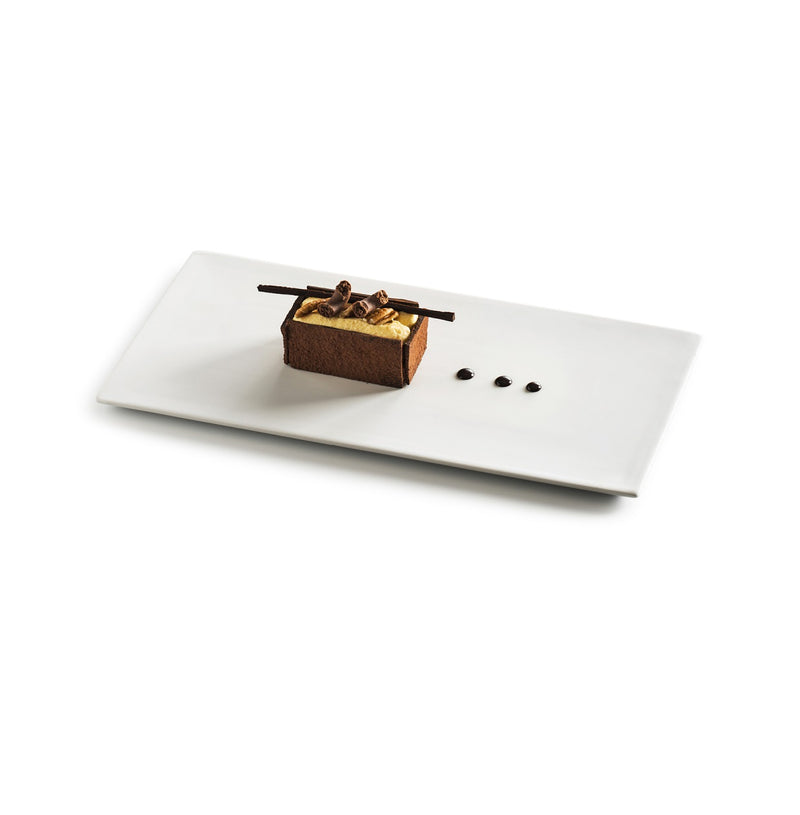 Handmade porcelain rectangular plate with matte finish, microwave, oven, dishwasher & freezer safe, modern luxury tableware for elegant food presentation.