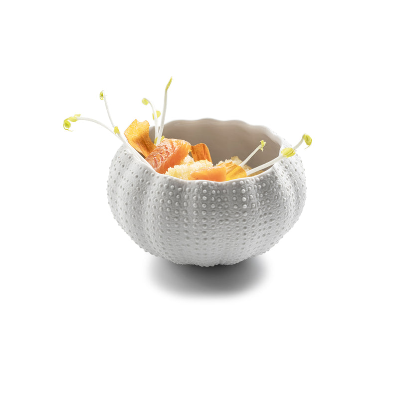 SEA URCHIN GLOSS/MAT 12CM