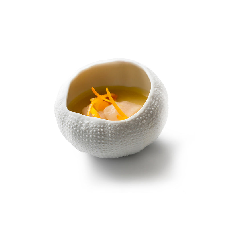 SEA URCHIN GLOSS/MAT 8CM
