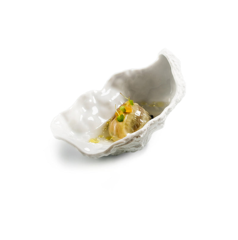 OYSTER GLOSS/MAT 16CM