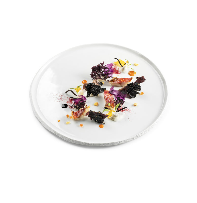 28cm luxury porcelain coral plate with textured finish, ocean-inspired design, elegant and durable for sophisticated dining.