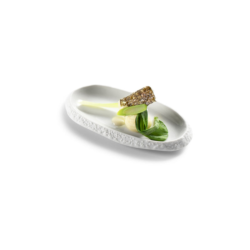 Luxury porcelain coral tray with gloss-matte finish, ocean-inspired textured rim, elegant and durable for artistic dining.