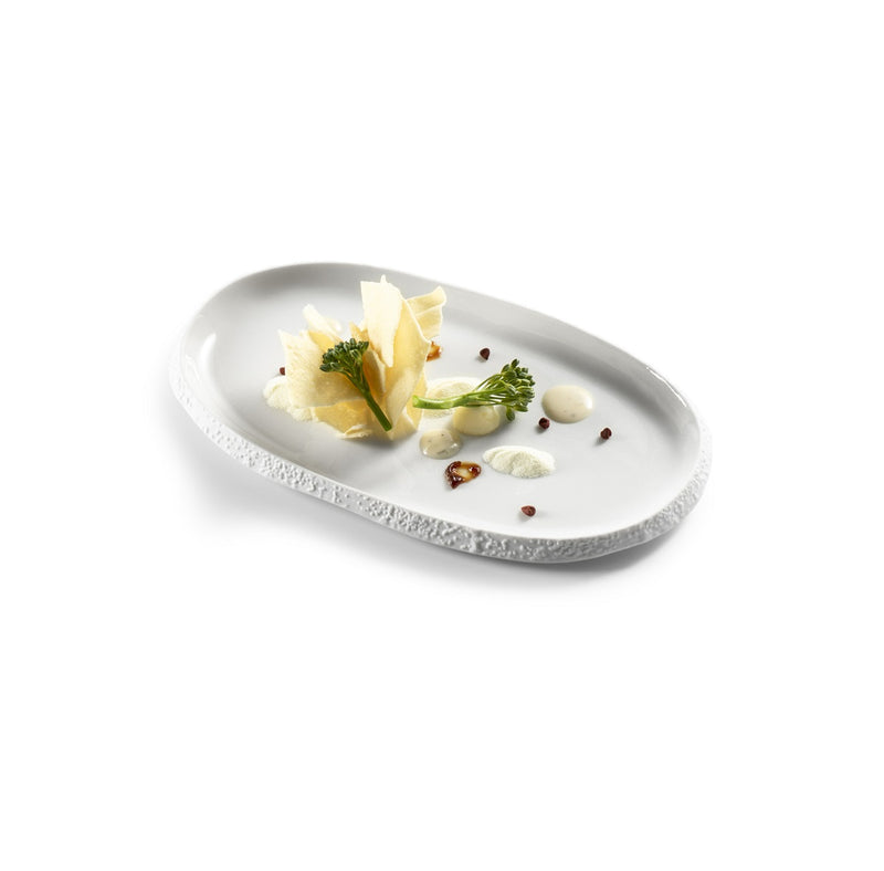 Luxury white porcelain coral tray with gloss-matte finish, ocean-inspired texture, durable, artistic serving piece.