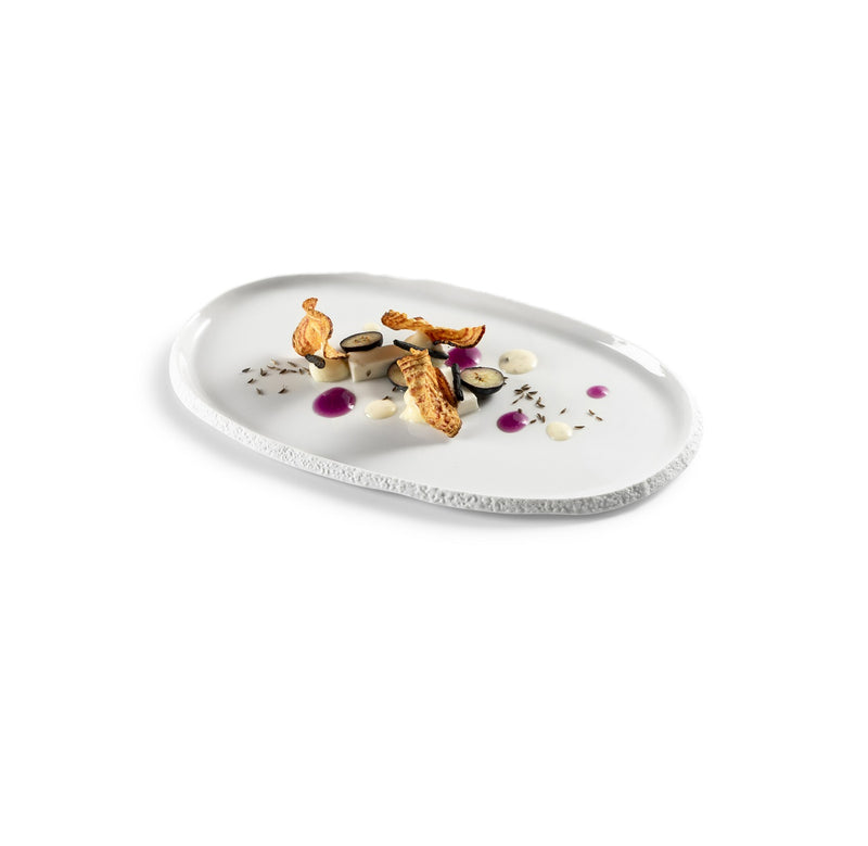Luxury porcelain coral tray with gloss-matte finish, ocean-inspired texture, artistic design, perfect for elegant food presentation.