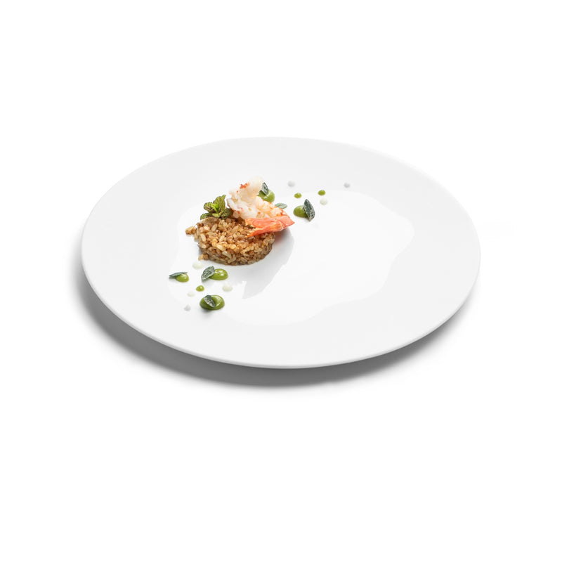 Lake porcelain plate in matte and gloss finish, luxury dinnerware for elegant dining, durable, oven and dishwasher safe