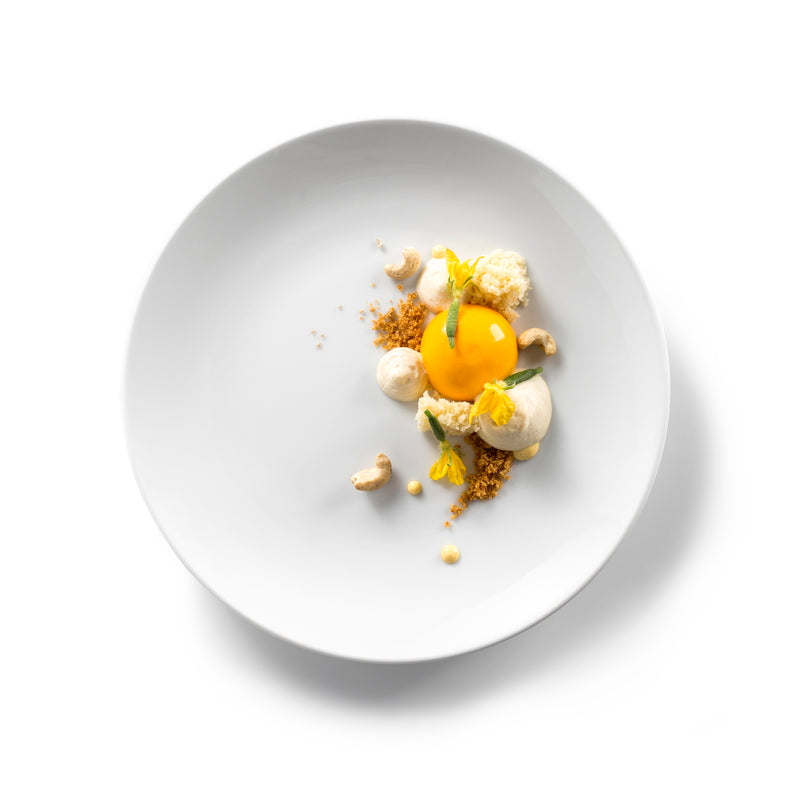 Luxury porcelain presentation plate with glossy finish, ideal for gourmet plating, microwave, oven, and dishwasher safe.