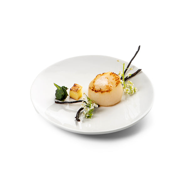 Small luxury porcelain plate with glossy finish, perfect for appetizers or desserts, elegant and microwave safe.