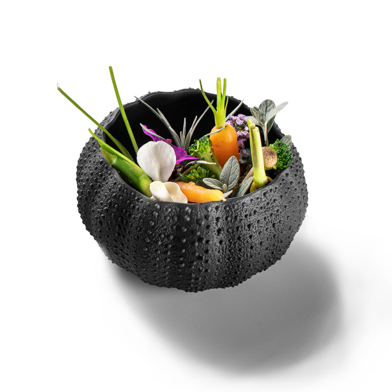 SEA URCHIN MAT 12CM BLACK